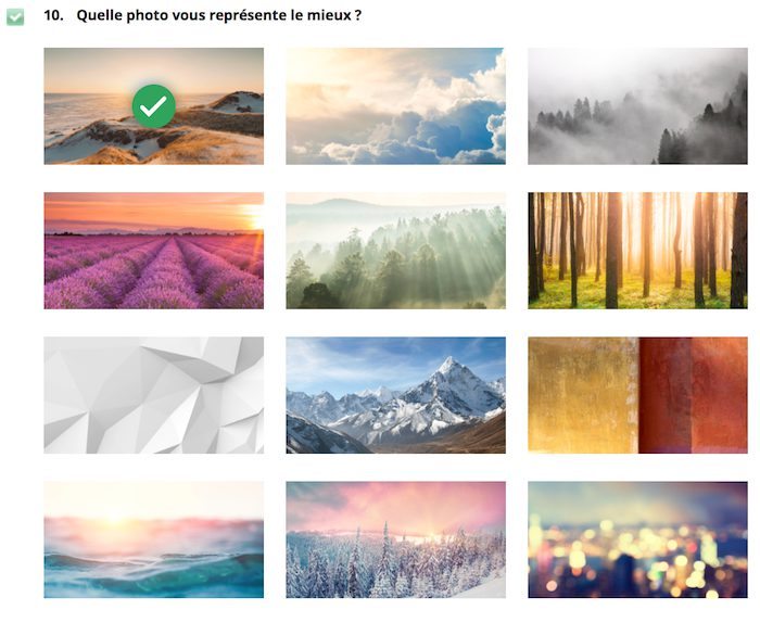 Et vous ? Quelle image vous représenterait le mieux ? Question impliquant de se comparer à différentes images.